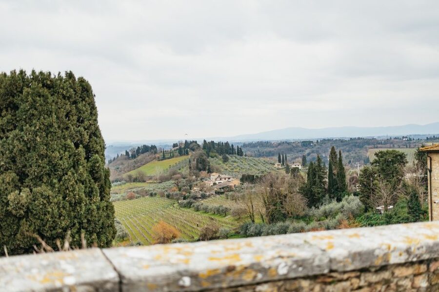 Florence: Pisa, Siena, San Gimignano, and Chianti Experience - Is the $52 price good value?