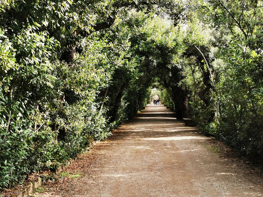 Florence: Pitti Palace, Boboli Garden, Palatine Gallery Tour - The Palatine Gallery and its crowded walls of masterpieces