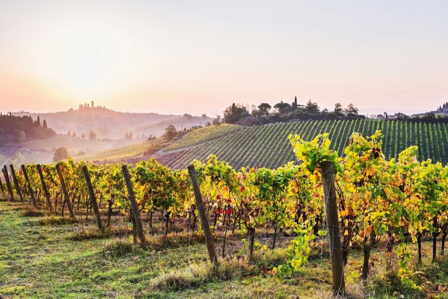 Florence: Siena & San Gimignano Day Trip with Lunch & Wine - San Gimignano and its famous towers