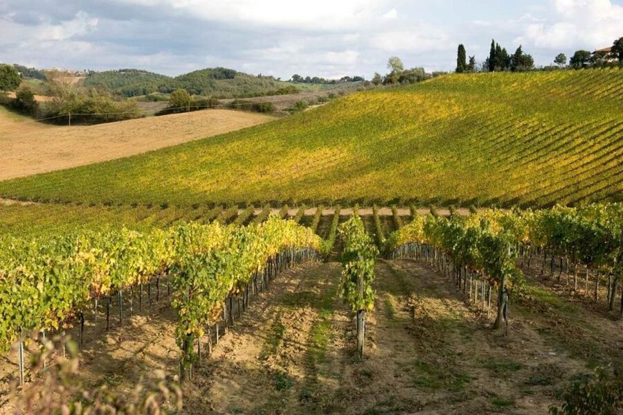 Florence: Siena & San Gimignano Day Trip with Lunch & Wine - What the long coach rides are really like