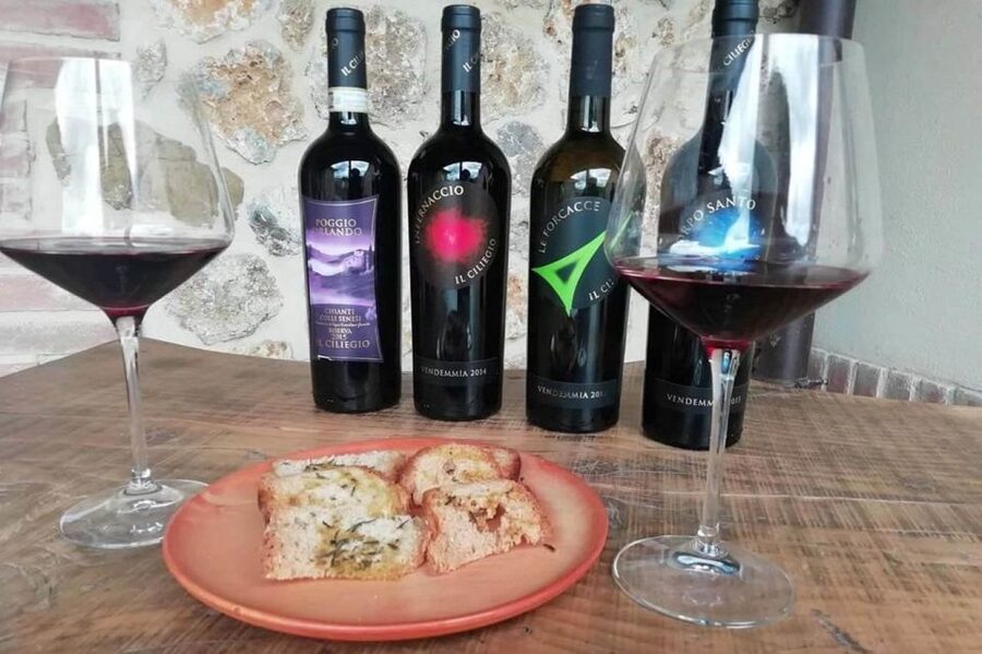 Florence: Siena & San Gimignano Day Trip with Lunch & Wine - How much value do you get for $84.96?