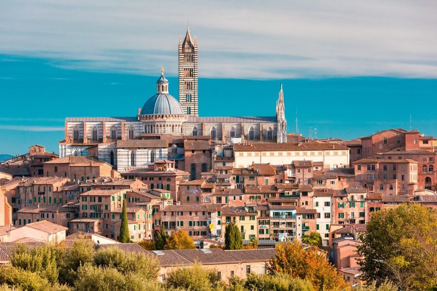 Florence: Siena & San Gimignano Day Trip with Lunch & Wine - A working organic winery near Siena