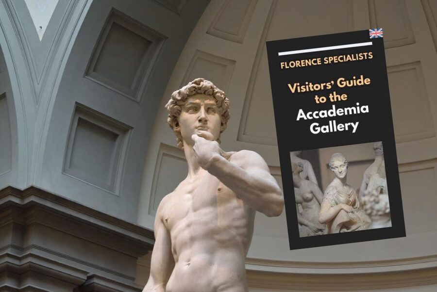 Florence: Timed Entry Ticket to Michelangelo's David & eBook - Michelangelo’s unfinished sculptures in the main hall