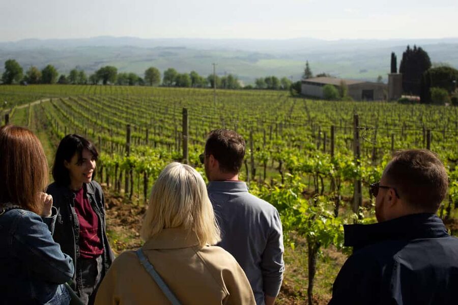 Florence: Valdorcia Wine, Brunello Montalcino, Montepulciano - A long Tuscan day that earns its place