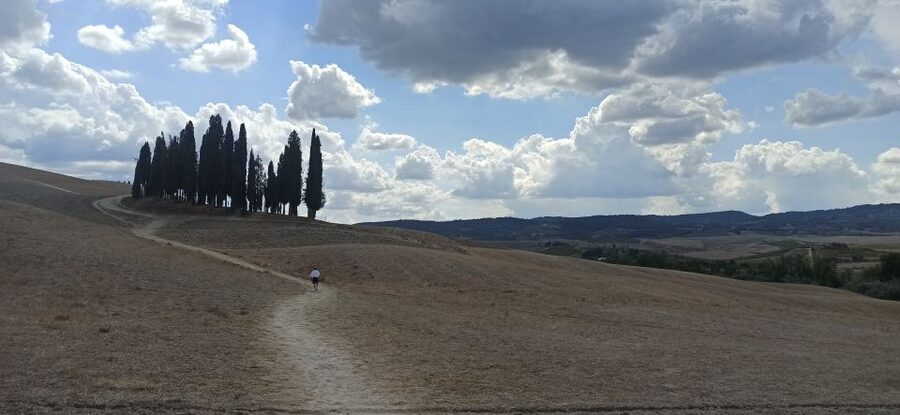 Florence: Valdorcia Wine, Brunello Montalcino, Montepulciano - Montepulciano beneath the streets