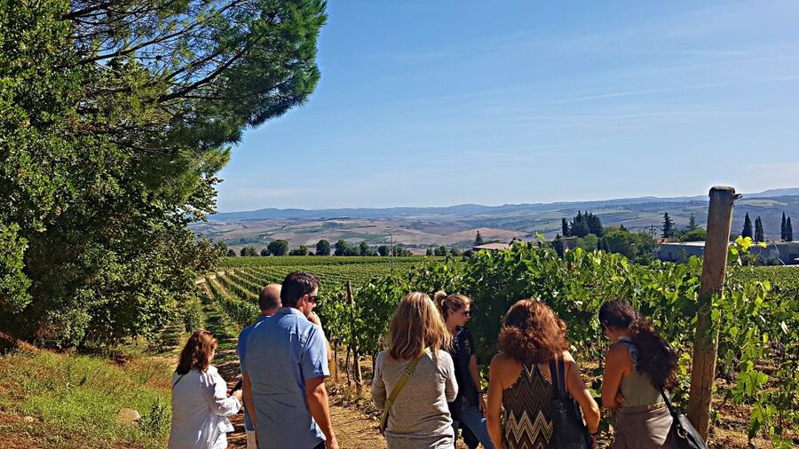 Florence: Valdorcia Wine, Brunello Montalcino, Montepulciano - What the $265 price really covers