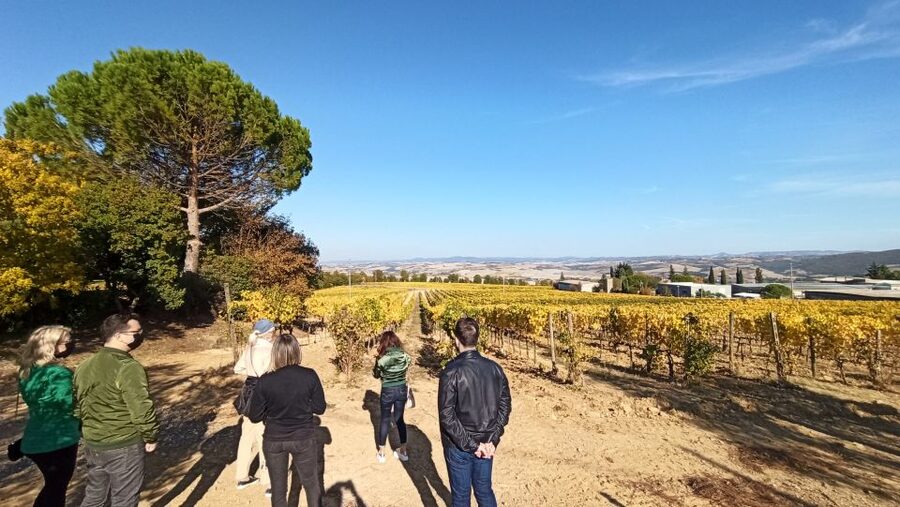 Florence: Valdorcia Wine, Brunello Montalcino, Montepulciano - Choosing the right season