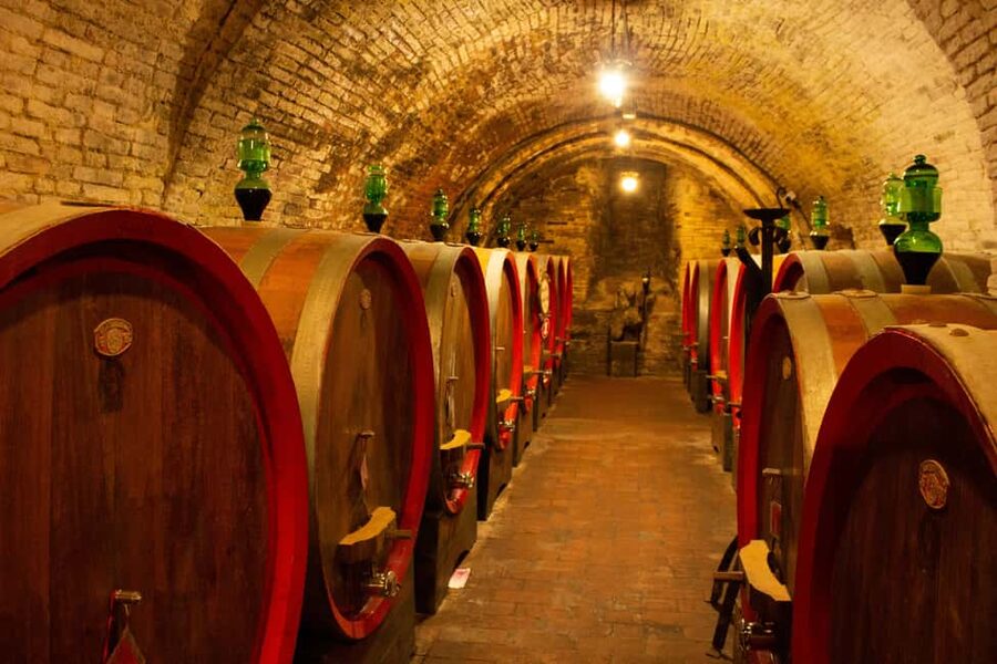 Florence: Valdorcia Wine, Brunello Montalcino, Montepulciano - Should you book this Val d’Orcia tour?