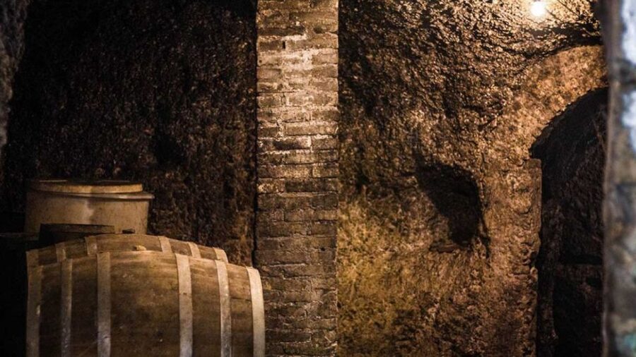 Frascati Wine Road from Rome: Tasting & Lunch - Walking Frascati Through Bakeries, Taverns, and Food Shops