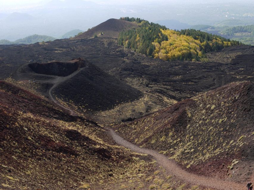 From Catania: Etna tour by Panoramic Bus - Cable Car Costs and How to Spend the Free Time