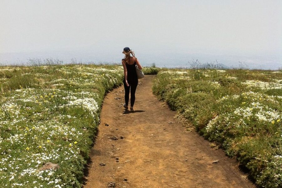 From Catania: Mount Etna Half-Day Tour and Wine Experience - Is the price good value?