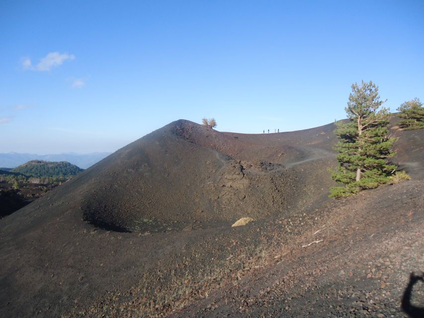From Catania: Mount Etna Half-Day Tour and Wine Experience - Why the volcanic soil matters at the winery