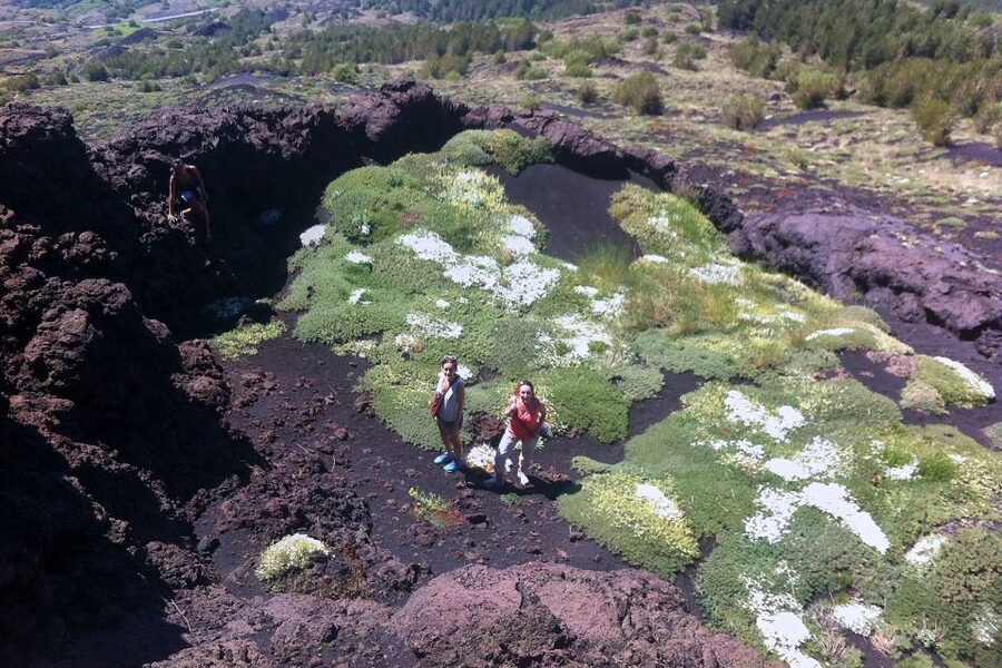 From Catania: Mount Etna Half-Day Tour and Wine Experience - Who should book this Etna and wine experience?