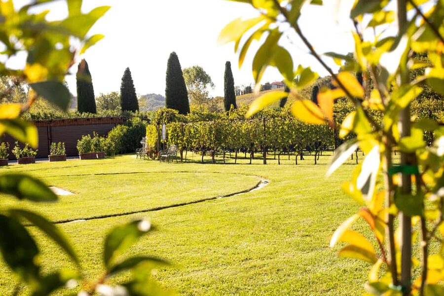 From Florence: Chianti Half-Day Afternoon Tour - The 45-minute ride into the Chianti hills