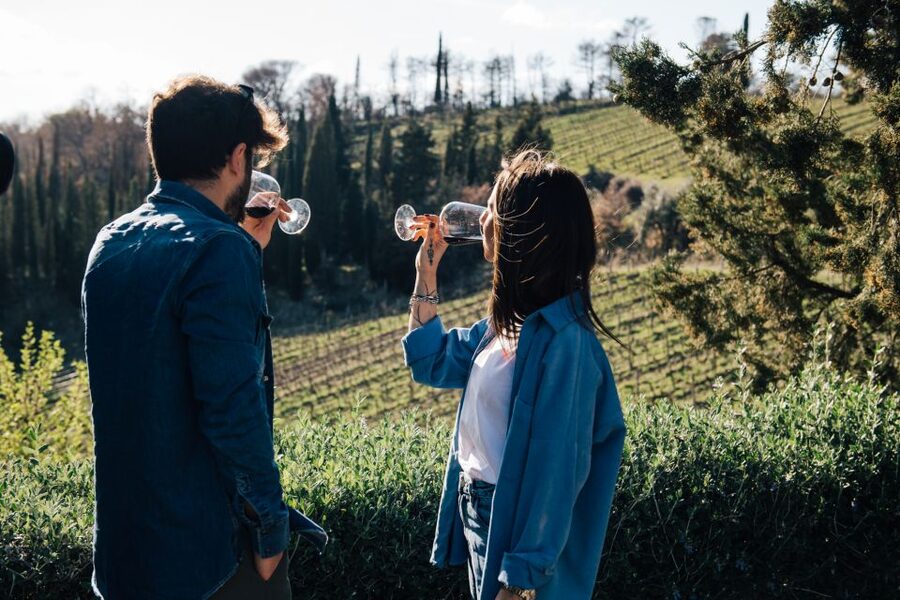 From Florence: Chianti Hills Half-Day Tour with Wine Tasting - Leaving Florence for the Chianti hills