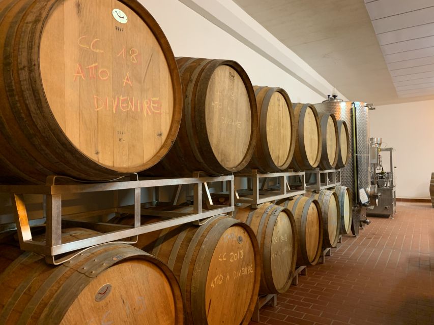 From Florence: Chianti Hills Half-Day Tour with Wine Tasting - Two wineries, two different moods