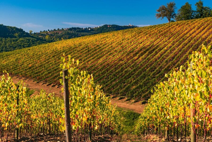 From Florence: Chianti Hills Half-Day Tour with Wine Tasting - Price, timing, and the real value