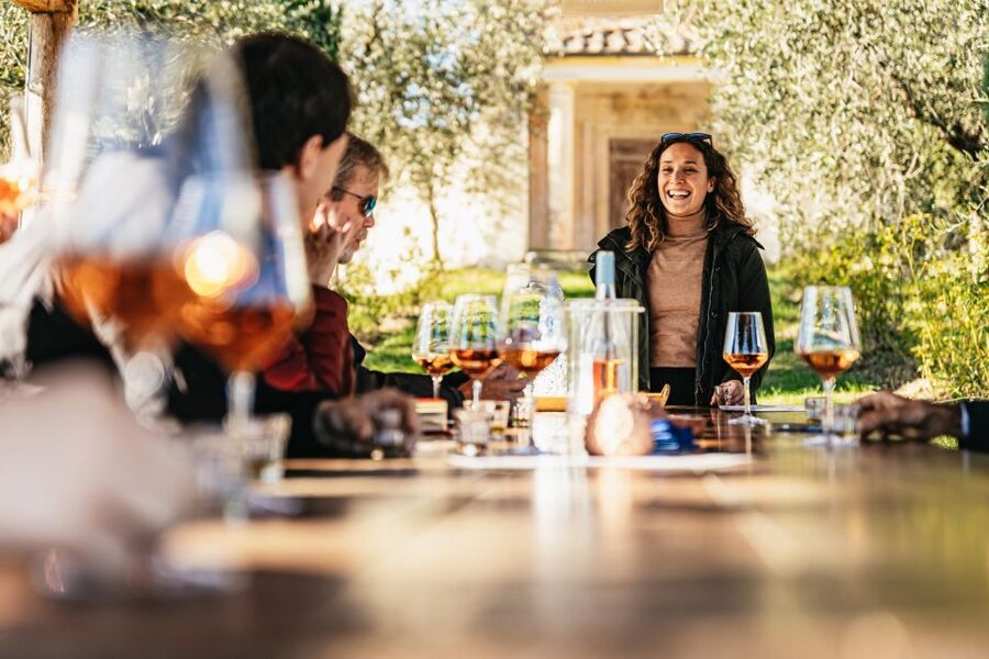 From Florence: Chianti Wine and Food Tasting Safari - Leaving Florence for the Chianti hills