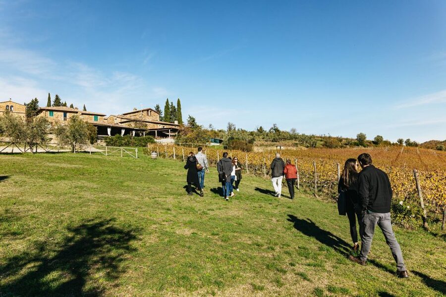 From Florence: Chianti Wine and Food Tasting Safari - Is $254.89 good value?