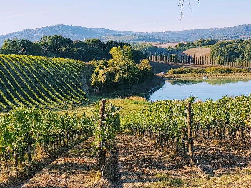 From Florence: Chianti Wine Tastings at Sunset Day Trip - Quick reasons to consider this Chianti sunset trip