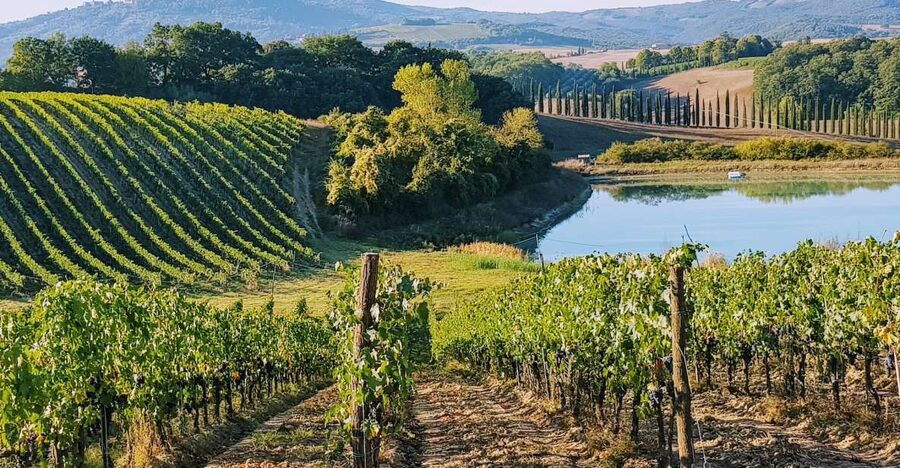 From Florence: Chianti Wine Tastings at Sunset Day Trip - Leaving Florence for the Chianti hills