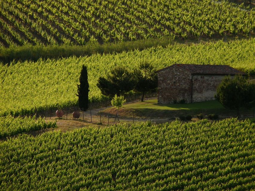 From Florence: Chianti Wine Tastings at Sunset Day Trip - Two wineries, two different personalities