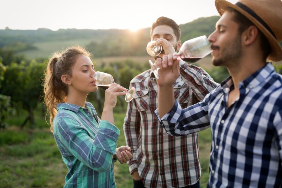 From Florence: Chianti Wine Tour with Tasting - Between the estates: scenery and breathing room