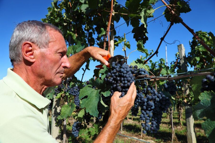 From Florence: Chianti Wine Tour with Tasting - Second stop: a broader tasting and polished presentation