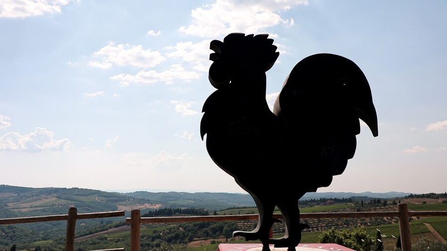 From Florence: Chianti Wine Tour with Tastings - Practical details for your day