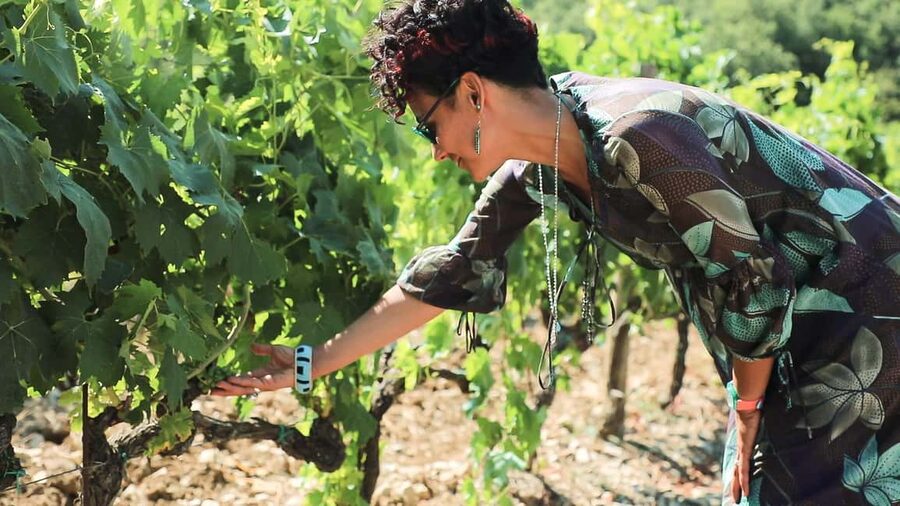From Florence: Chianti Wine Tour with Tastings - Why this Chianti trip works well from Florence