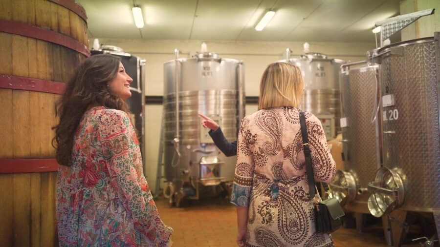 From Florence: Chianti Wine Tour with Tastings - The second winery: vineyards, cellars, and four wines