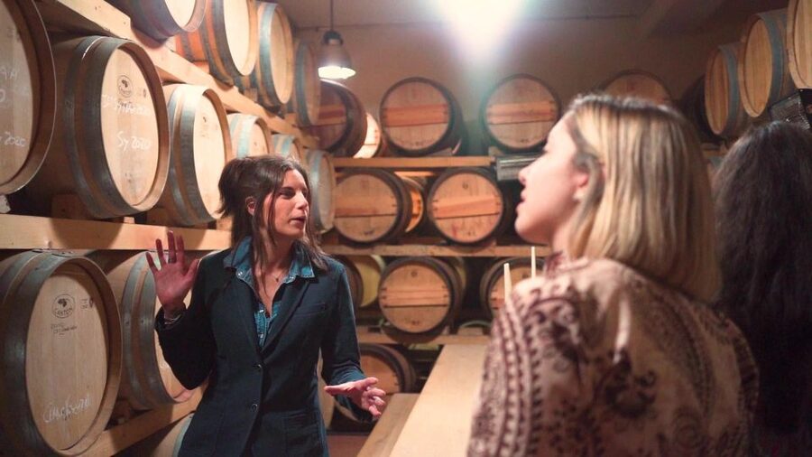 From Florence: Chianti Wine Tour with Tastings - What you will taste, and how much food to expect