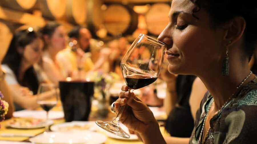 From Florence: Chianti Wine Tour with Tastings - Who should book this tour?