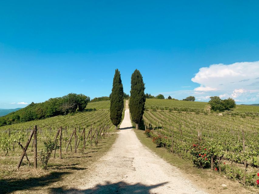 From Florence: Private Chianti Hills Tour with Tasting - Guides, languages, and the human side of the day