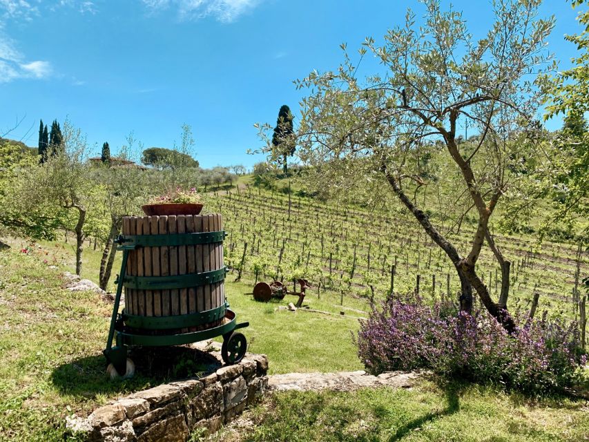 From Florence: Private Chianti Hills Tour with Tasting - Who should book this Chianti tour?