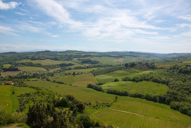 From Florence: Small-Group Tuscany Wine & Oil Tour with typical Tuscan Meal - A short pause in Greve in Chianti