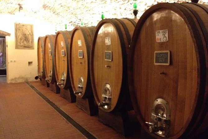 From Florence: Small-Group Tuscany Wine & Oil Tour with typical Tuscan Meal - Wine tasting among the Greve vineyards