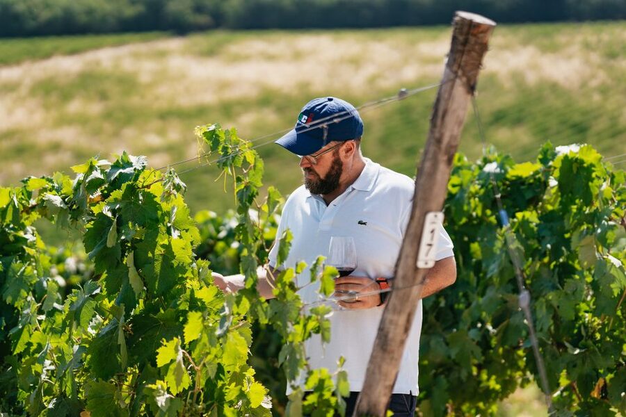 From Florence: Small Group Wine Tasting Tour to Tuscany - Quick takeaways from the Chianti half-day