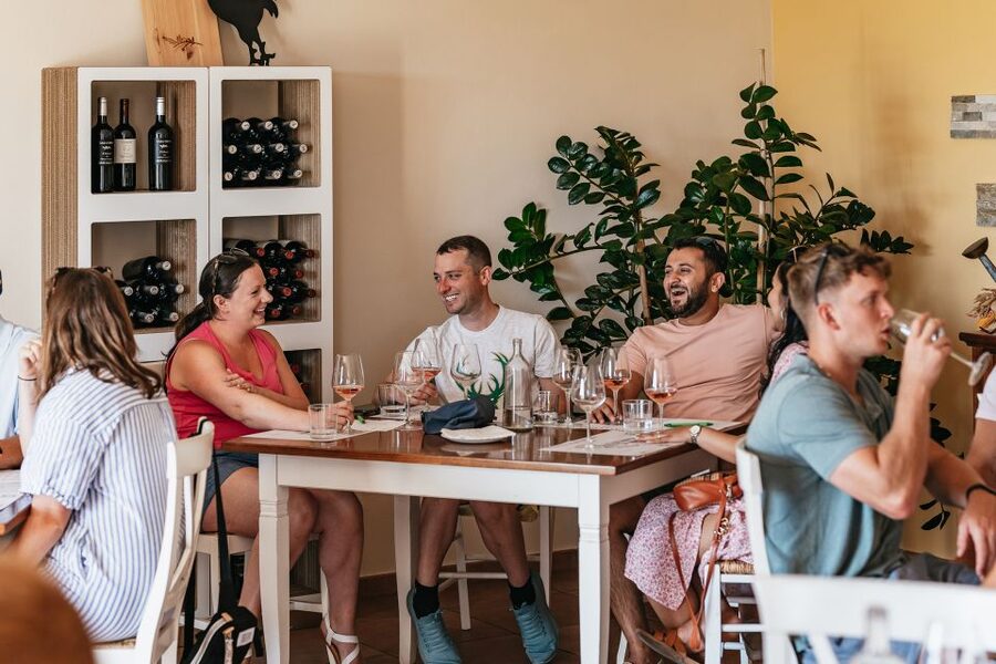 From Florence: Small Group Wine Tasting Tour to Tuscany - What the scenery adds to the experience