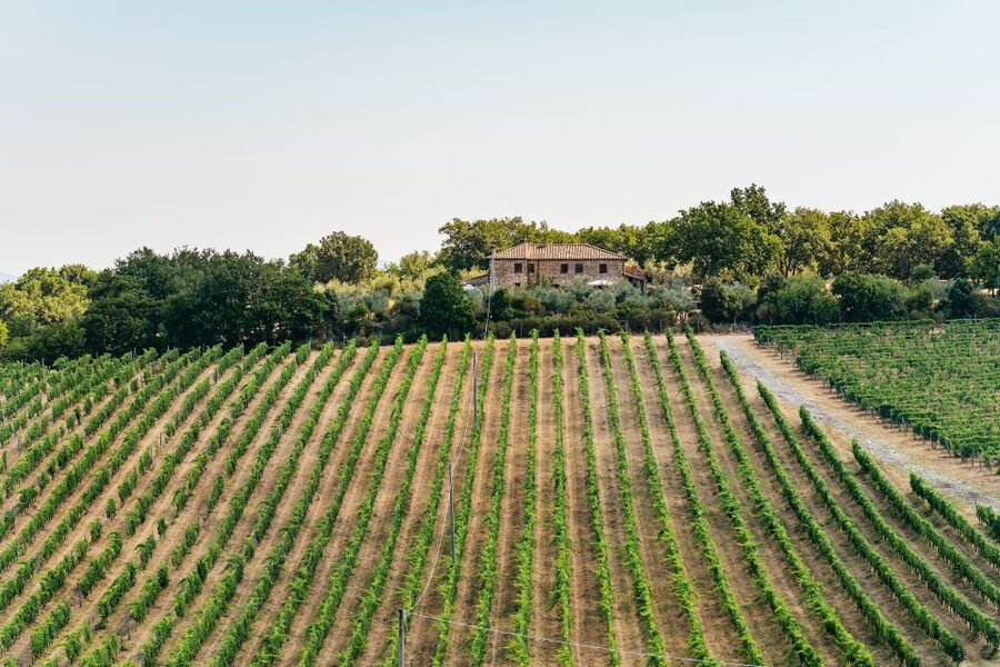 From Florence: Small Group Wine Tasting Tour to Tuscany - The people make the bus ride work
