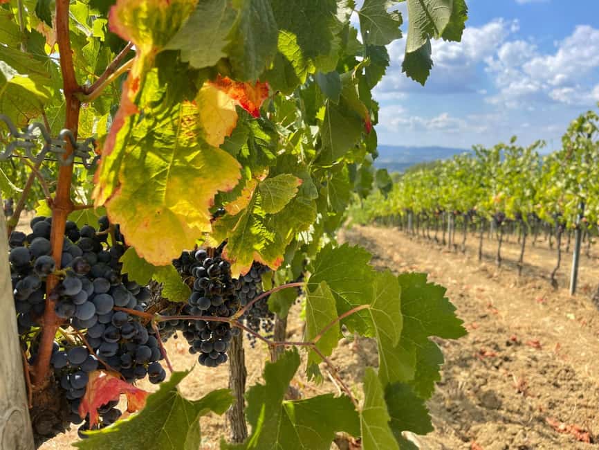 From Florence: Tuscany & San Gimignano Tour with 2 Tastings - Meeting your guide at Porta Romana