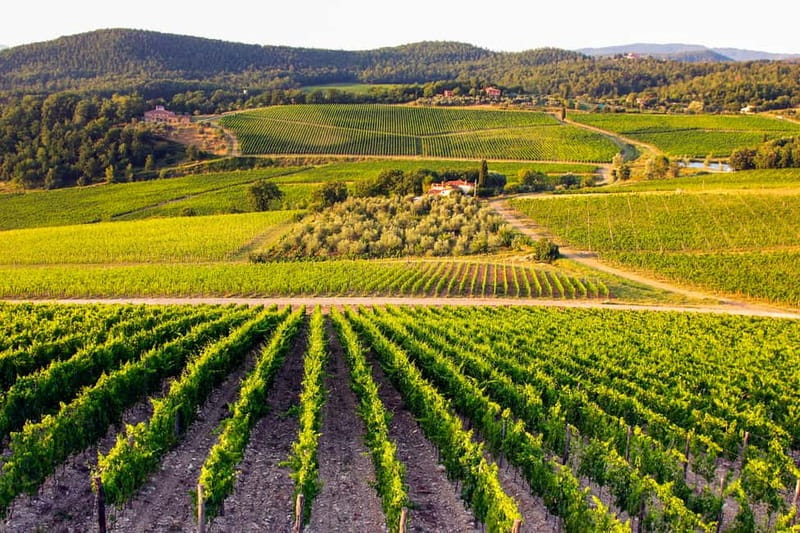 From Florence: Tuscany Wine & Food Tour with Guide - First winery: seeing how Chianti is made