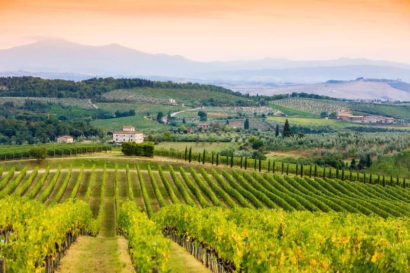 From Florence: Tuscany Wine & Food Tour with Guide - The guide can shape the whole day