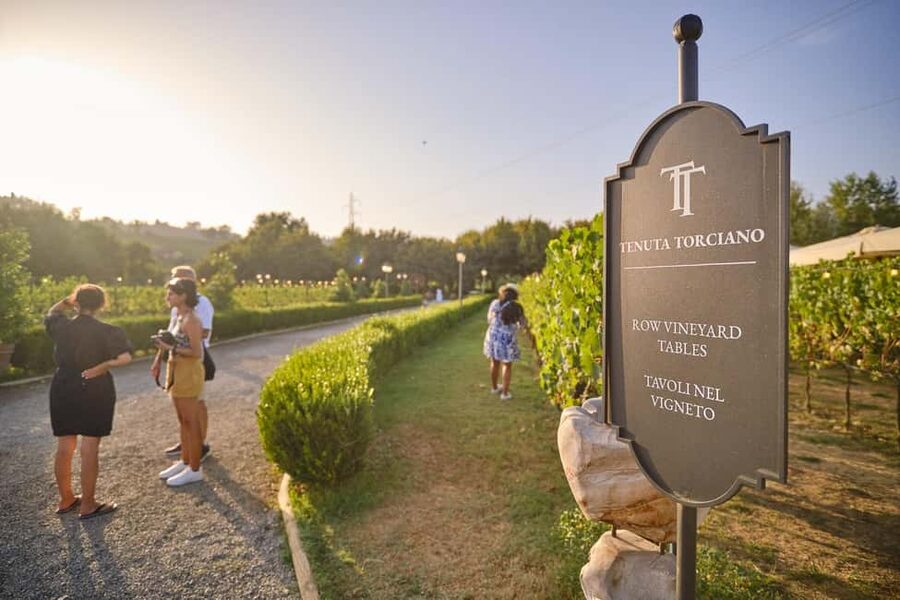 From Florence: Wine Tasting and Dinner in Chianti Vineyards - Why this Chianti trip works well from Florence