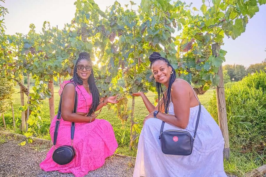 From Florence: Wine Tasting and Dinner in Chianti Vineyards - Wine pairings and the pace of the evening