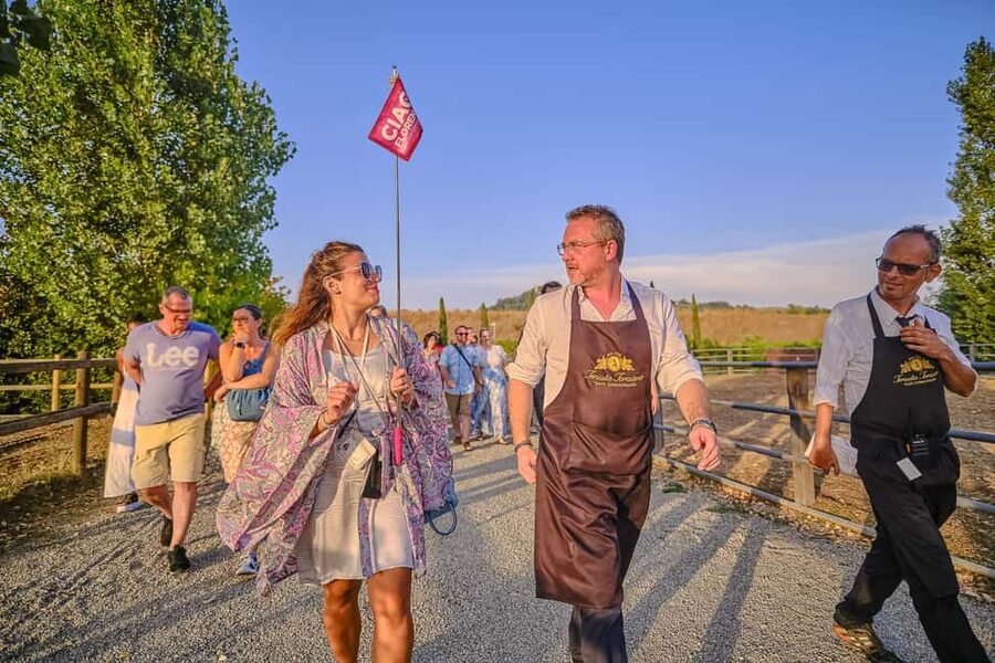 From Florence: Wine Tasting and Dinner in Chianti Vineyards - Transport, weather, and comfort