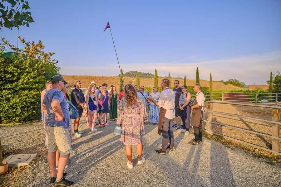 From Florence: Wine Tasting and Dinner in Chianti Vineyards - Food requests, children, and access