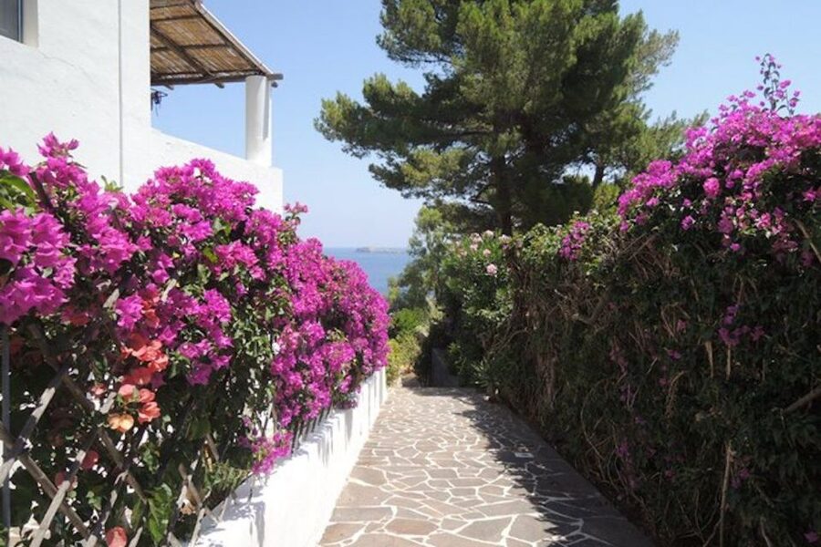 From Lipari: Panarea and Stromboli Cruise with Stops - Basiluzzo and Ginostra from the water