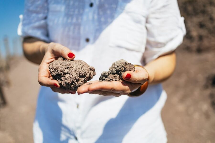 From Naples: All-Inclusive Mount Vesuvius Half-Day Tour - How much time do you get at the volcano?