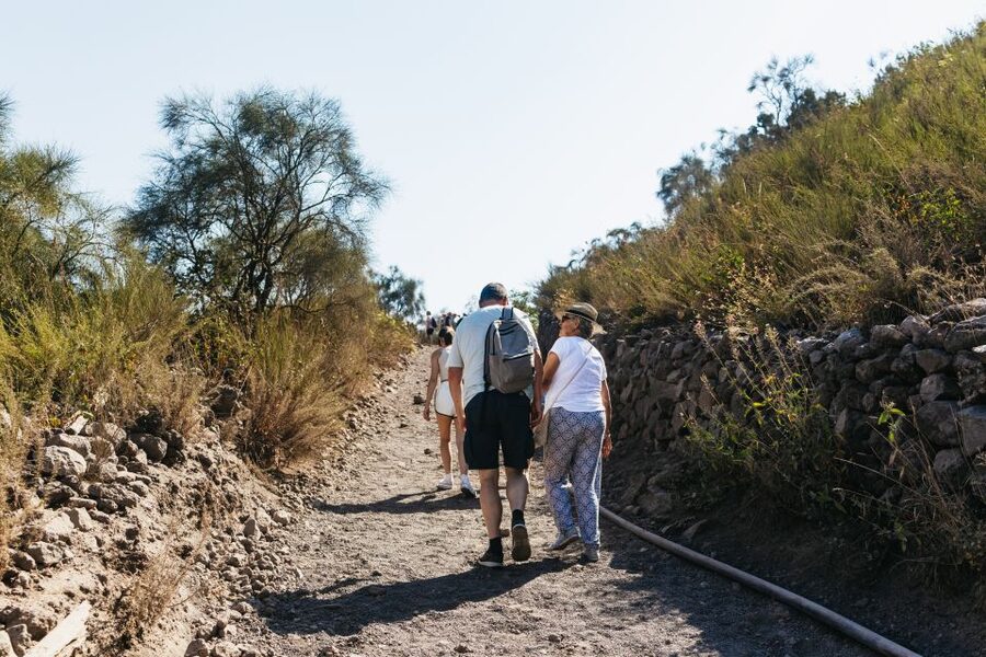 From Naples: All-Inclusive Mount Vesuvius Half-Day Tour - Is the included ticket worth the price?